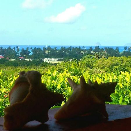 Studios Carribean Sea View Sainte-Anne Exterior foto